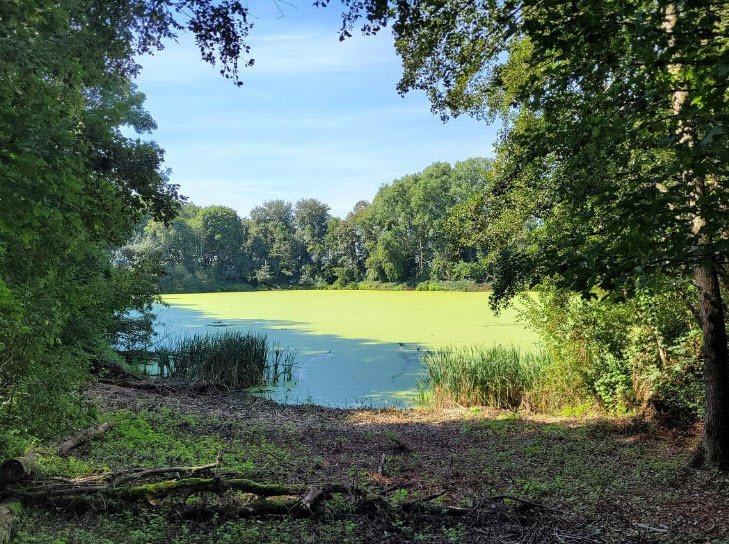 Provinciedomein 't Veld, Ardooie, Belgium, Belgium